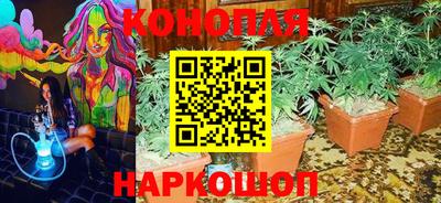сатива Изобильный