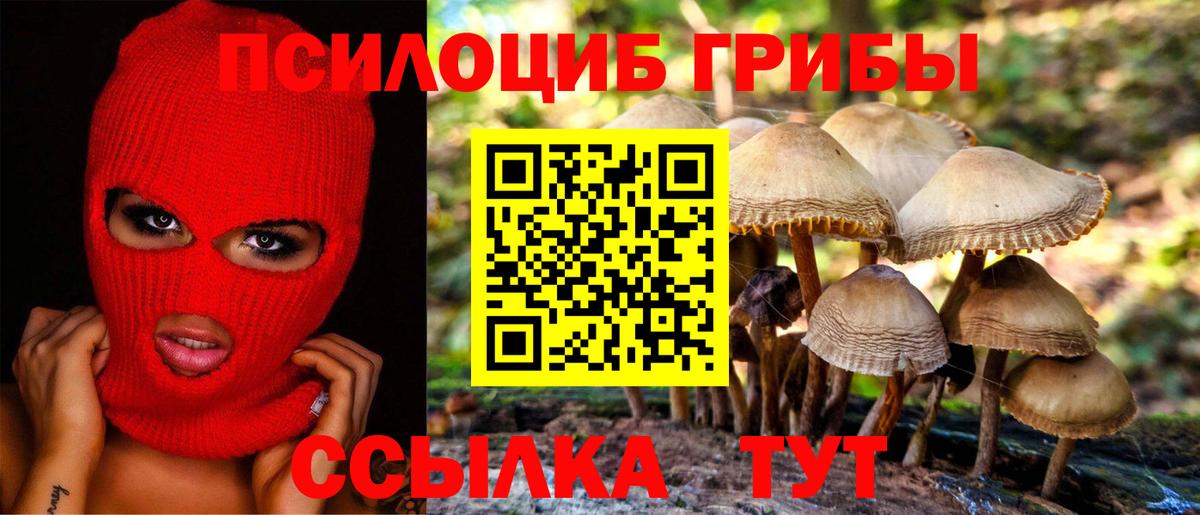 Галлюциногенные грибы Magic Shrooms  Вход с VPN  где продают наркотики  Псилоцибиновые грибы Cubensis  Добрянка 